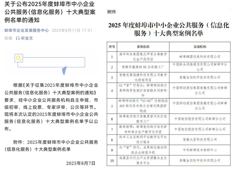 成功入选25年信息化服务十大案例
